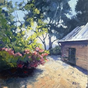 Sunlit Jewels in the Garden